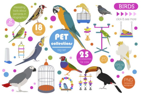 Pet Birds Illustrations Set: A Strategic Asset for Creators and Communicators