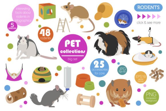 The Strategic Value of a Pet Rodents Illustrations Set for Content Creators